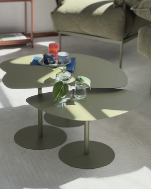 Conjunto de Mesa de Centro Orgânica